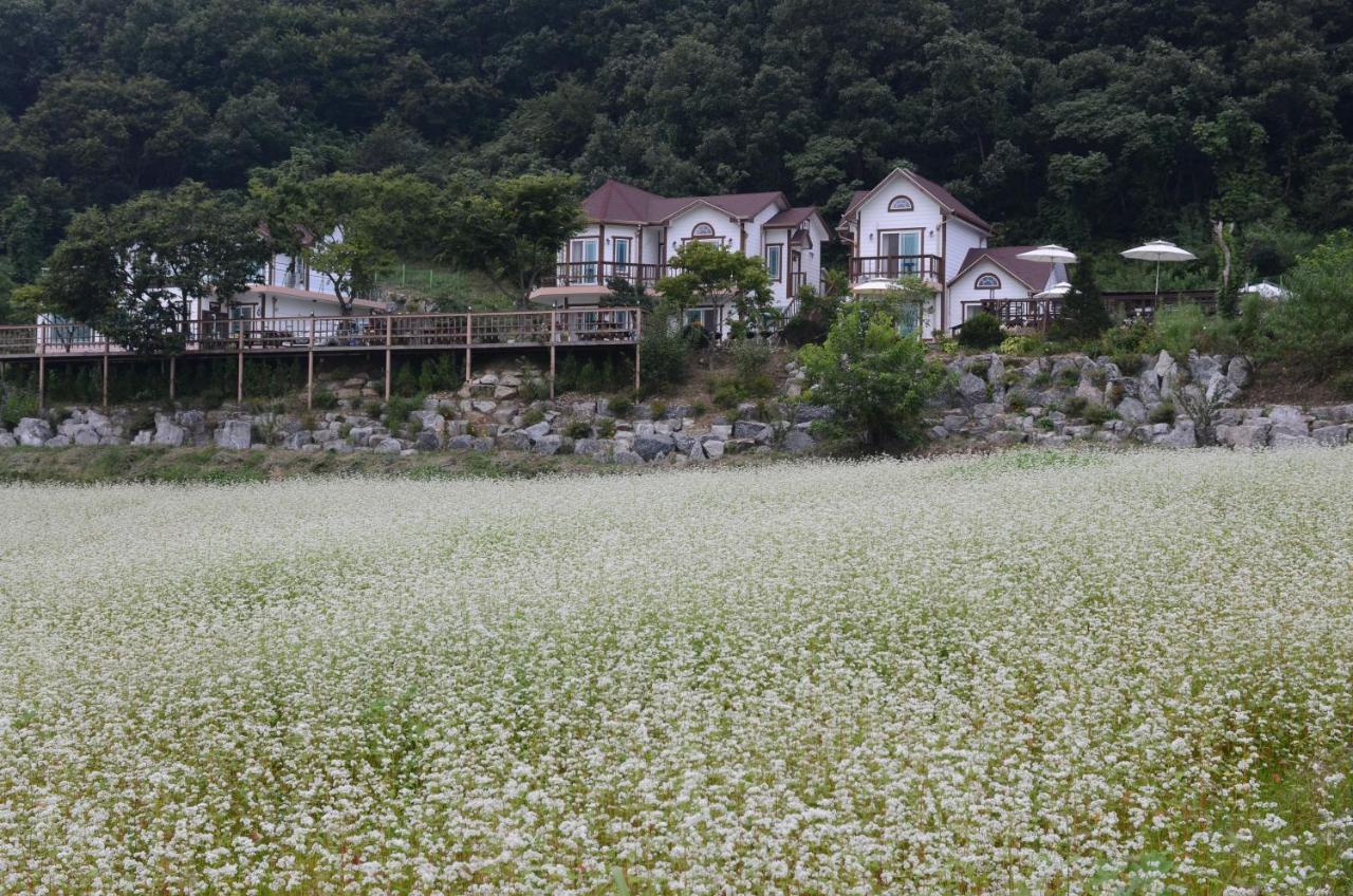Forest Of Color Pension Hongcheon Eksteriør billede