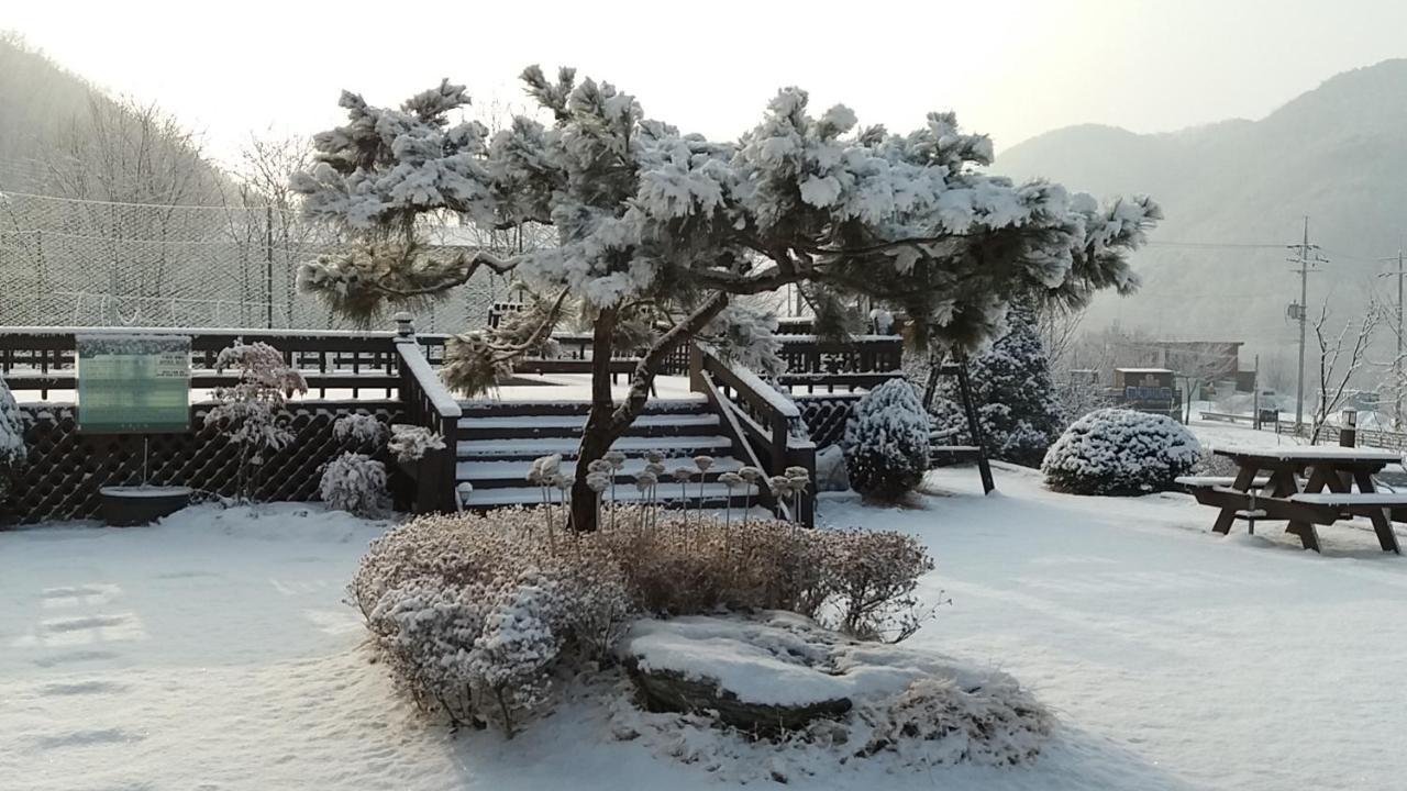 Forest Of Color Pension Hongcheon Eksteriør billede